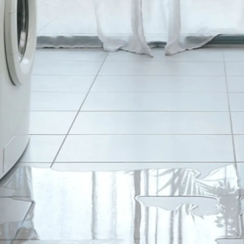 Appliance Leak Cleanup in Borden County, TX