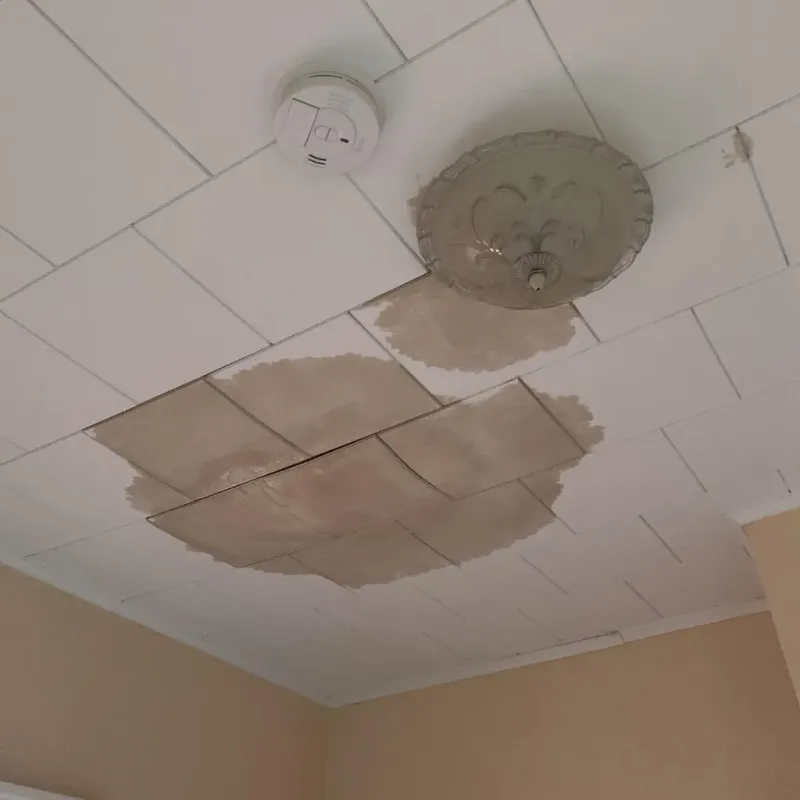 Ceiling Water Damage Repair in Borden County, TX