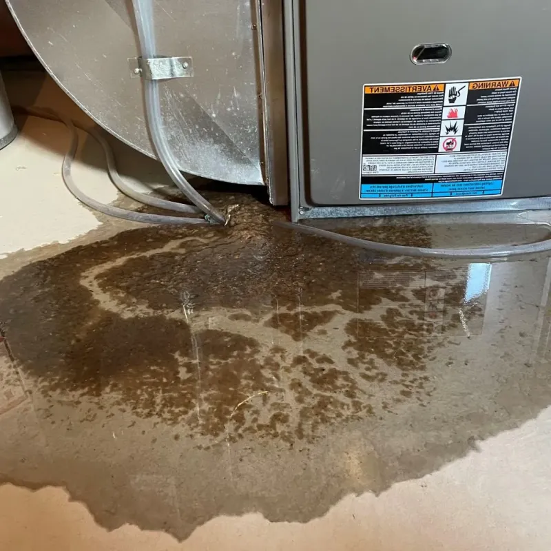 Pipe Burst and Leak Restoration in Borden County, TX