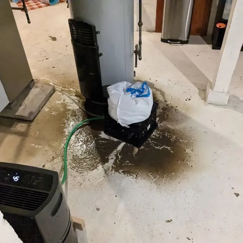 Sewage Backup Cleanup Service in Borden County, TX